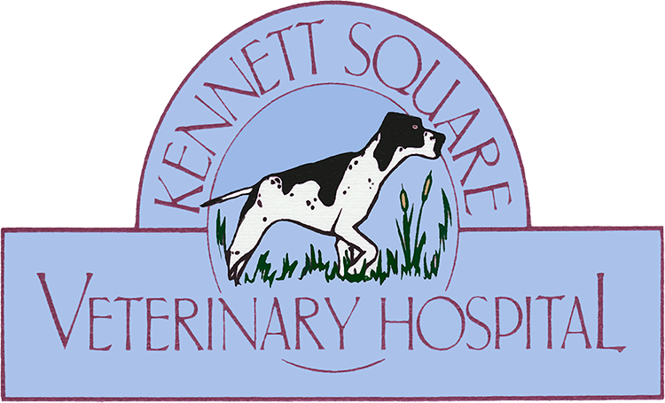 Kennett Square Veterinary Hospital
